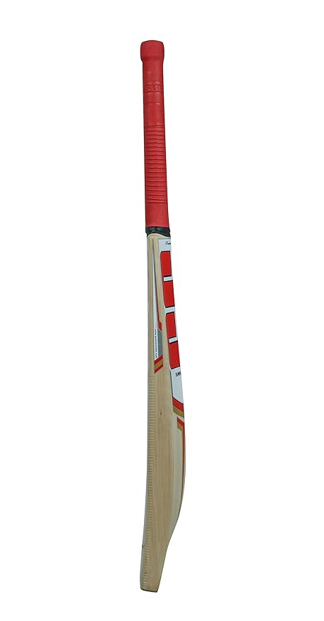 SS Sky Super Kashmir Willow Cricket Bat