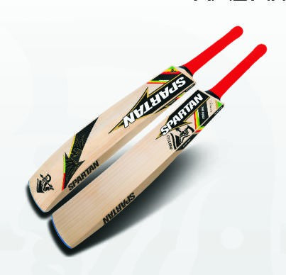 Spartan Chris Gayle Cyclone Kashmir Willow Cricket Bat