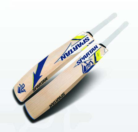 Spartan Fighter Kashmir Willow Cricket Bat