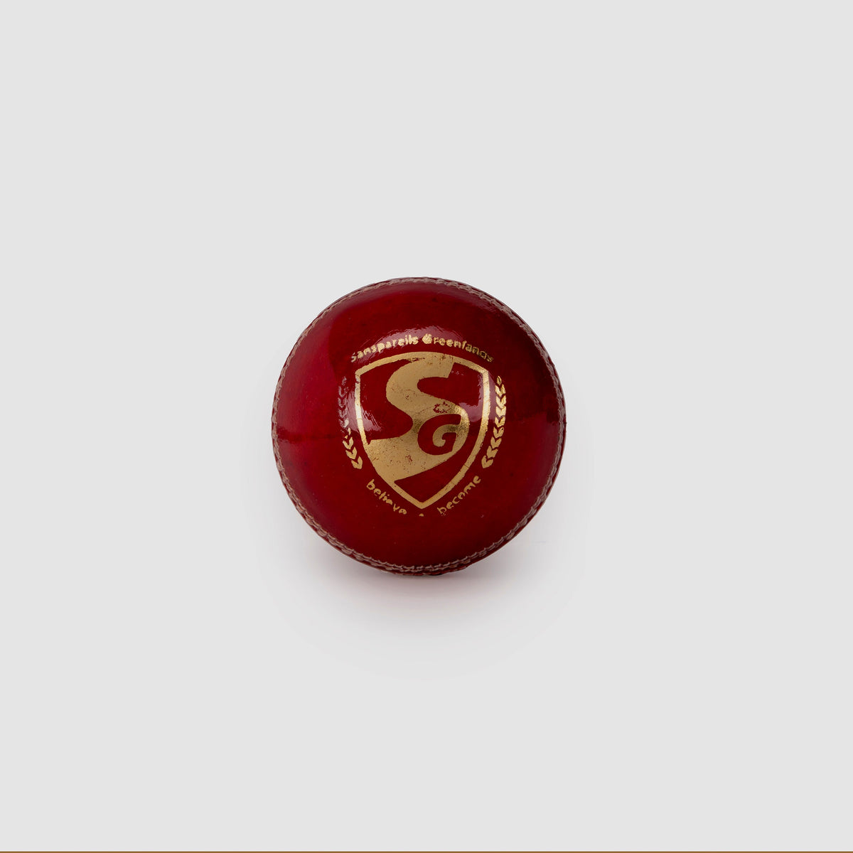 SG Shield 20 Red Leather Cricket Ball