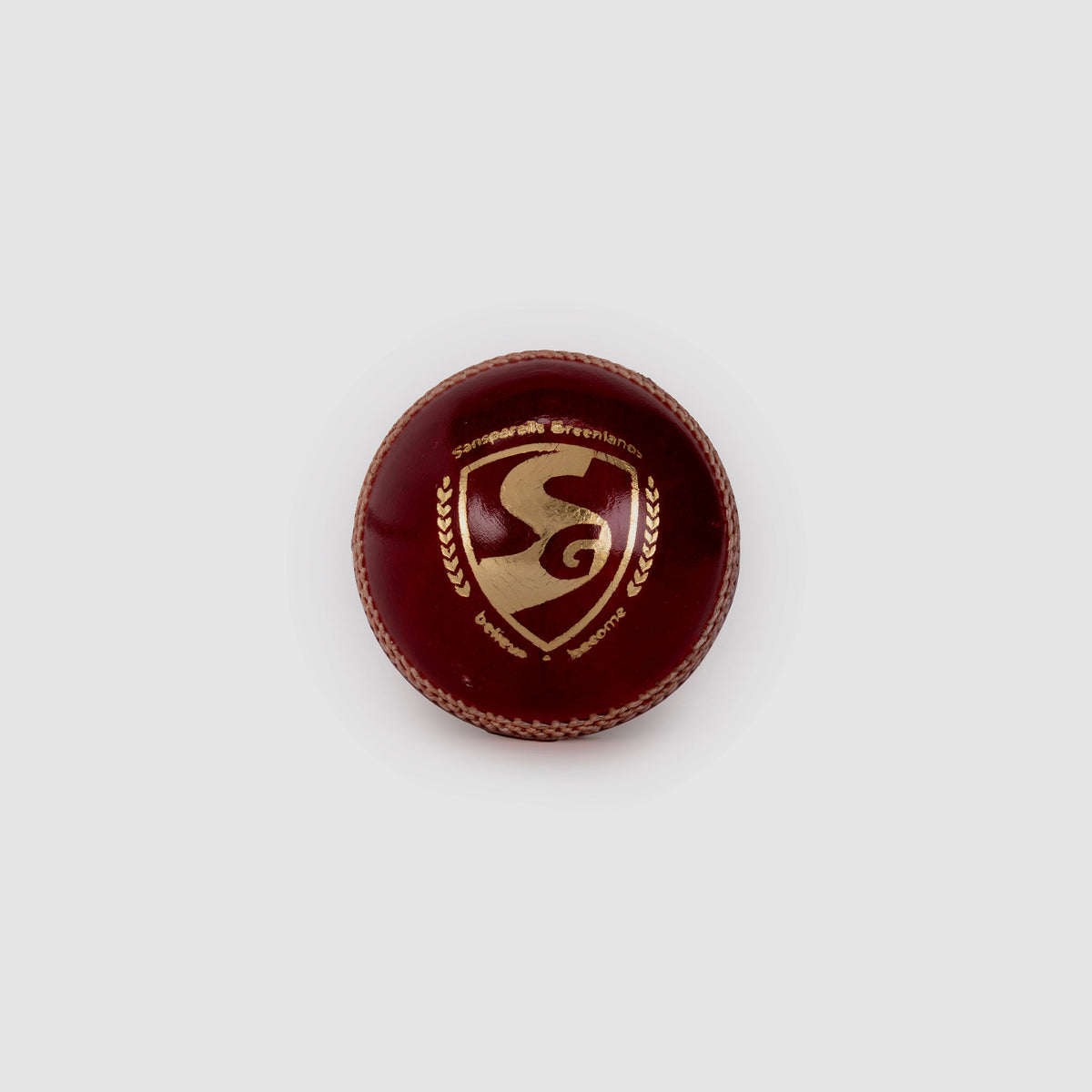 SG Test Red Leather Cricket Ball