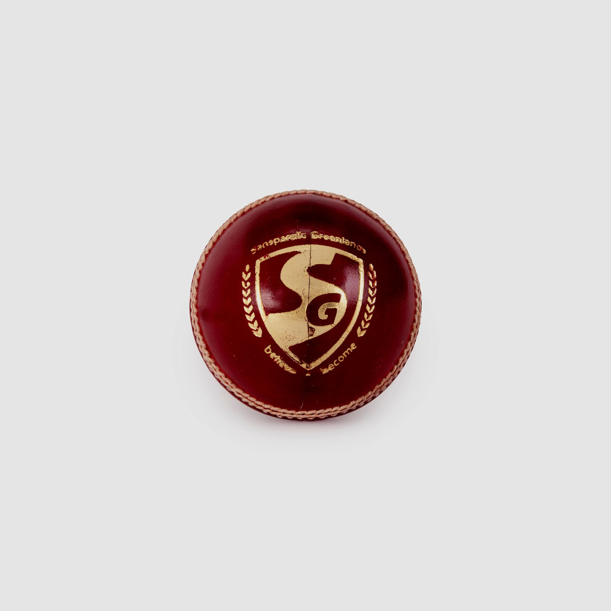 SG Tournament Red Leather Cricket Ball