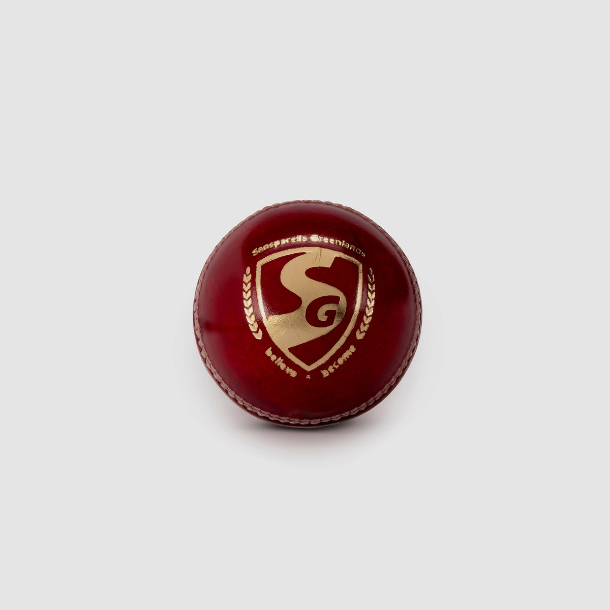 SG Seamer Red Leather Cricket Ball