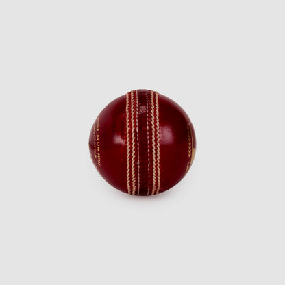 SG Tournament Red Leather Cricket Ball