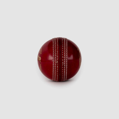 SG Seamer Red Leather Cricket Ball