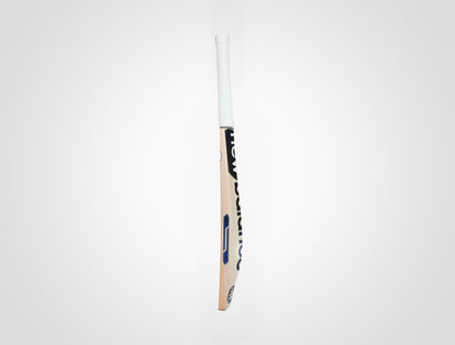 New Balance DC 300𝖎 PRO Kashmir Willow Cricket Bat