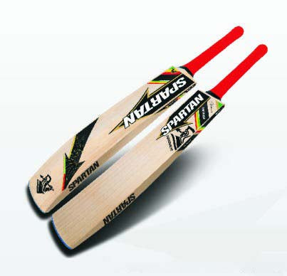 Spartan Chris Gayle Hammer Kashmir Willow Cricket Bat