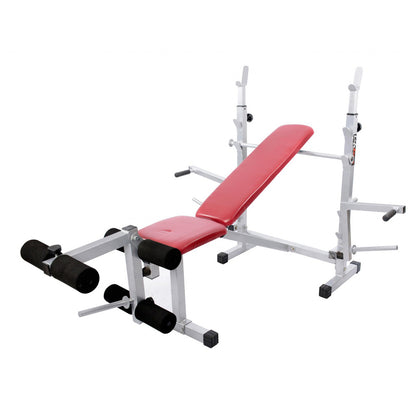 LifeLine Fitness Multi Purpose Bench – 309