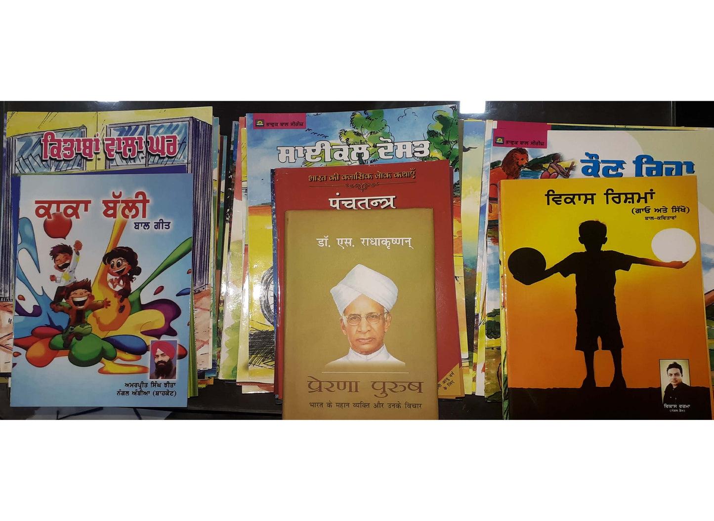Set of Colored Books for Punjab Govt. Primary School Library