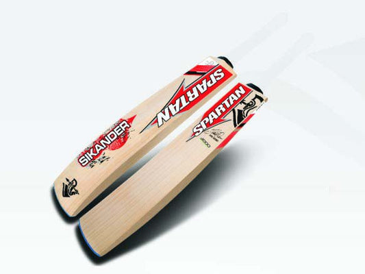 Spartan David Warner Sikander 3000 Kashmir Willow Cricket Bat